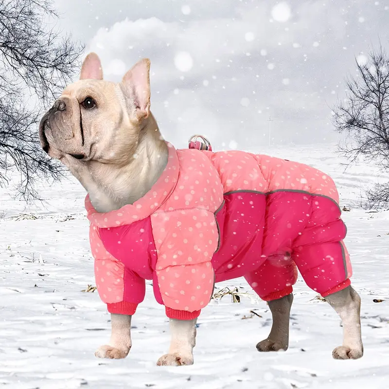 Caliente impermeable ropa de perro. Ropa de invierno para pequeño mediano grande perro.