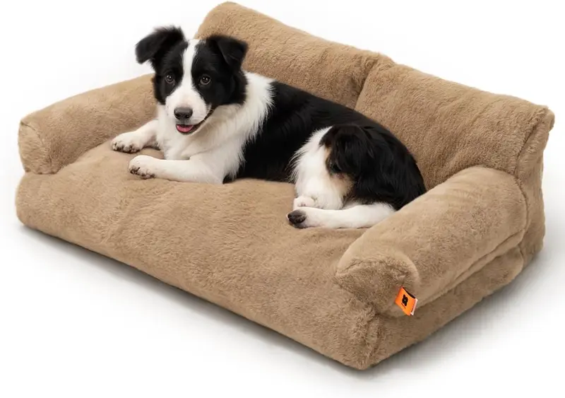 Cama Cozy Lounge