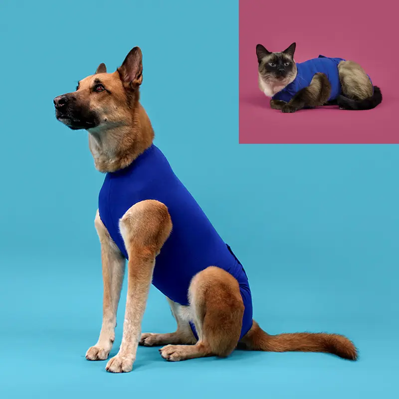 👕 Camiseta de recuperación postoperatoria KVP para perros y gatos | Confort, protección y bienestar tras una cirugía