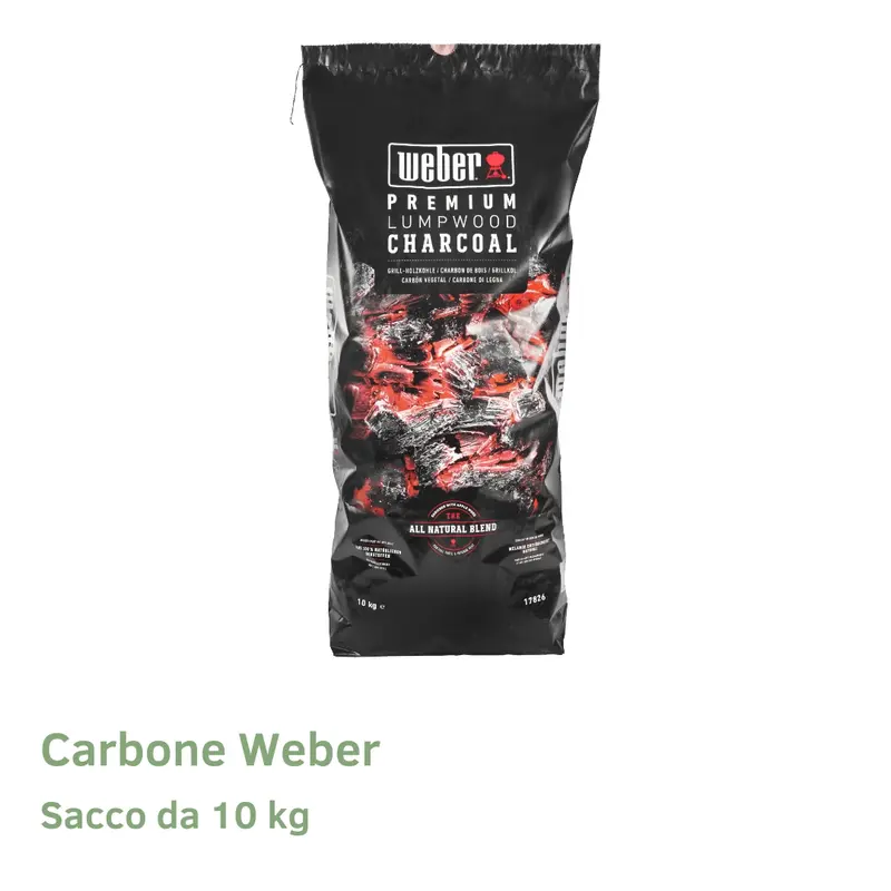Carbone Weber Sacco da 10 Kg