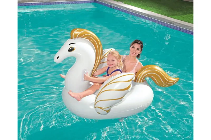 CAVALCABILE PEGASO 159X109CM 41121