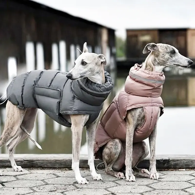 Chaqueta de invierno para perros