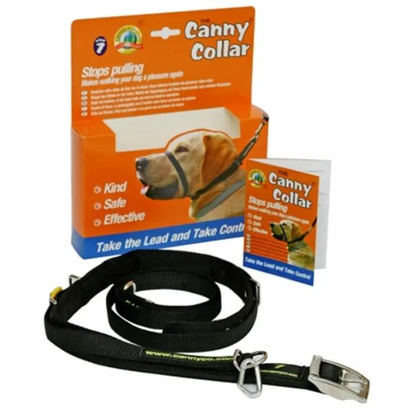 Collar Canny | El mejor collar anti tirones para ayudar a entrenar a tu perro a no tirar