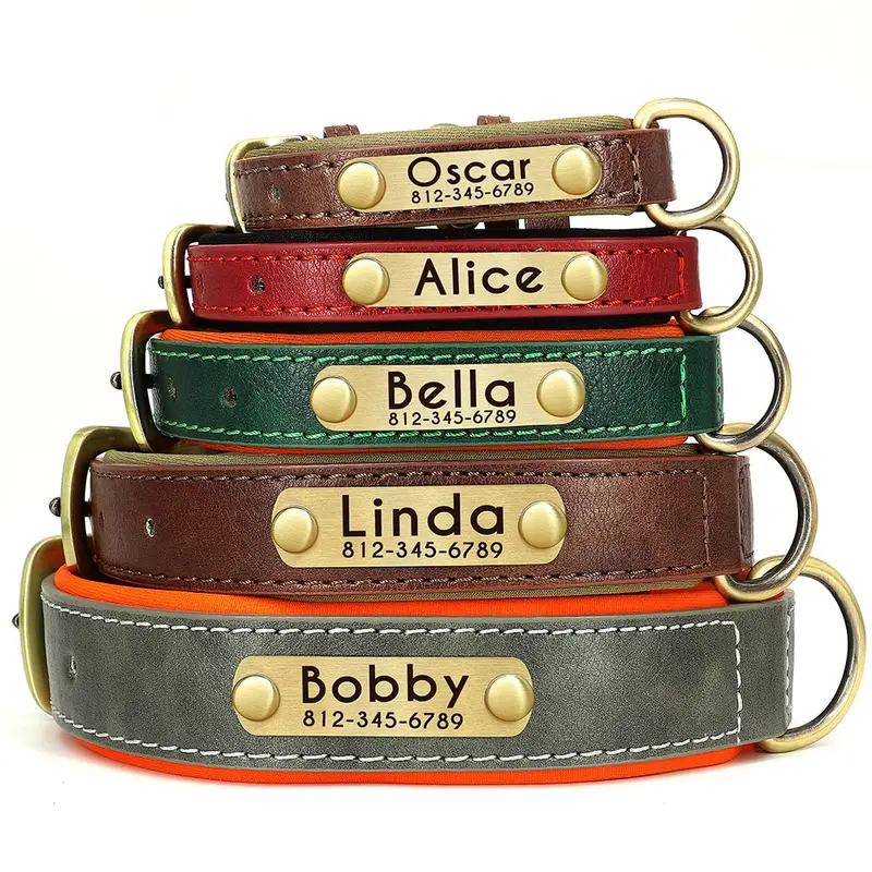 Collar con placa de identificación de cuero personalizado para perros.