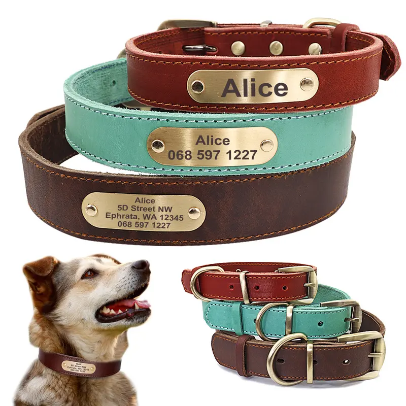 Collar de Cuero  con Placa de Identificación para mascota Dorada Personalizable