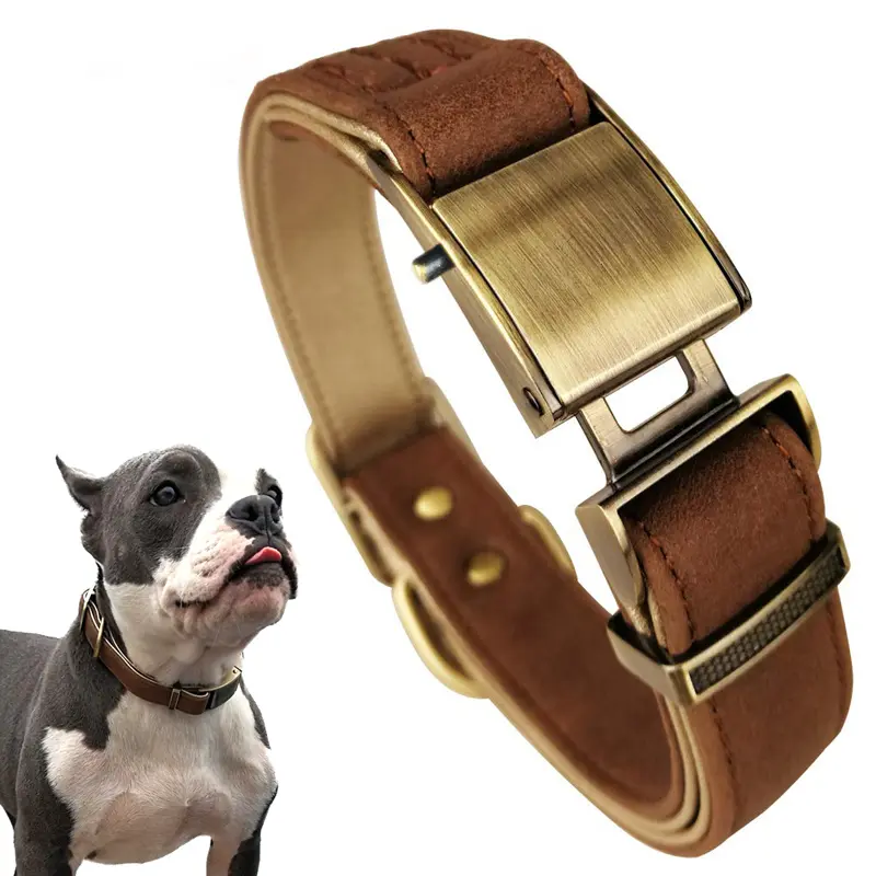 Collar de Cuero de Lujo para Perros