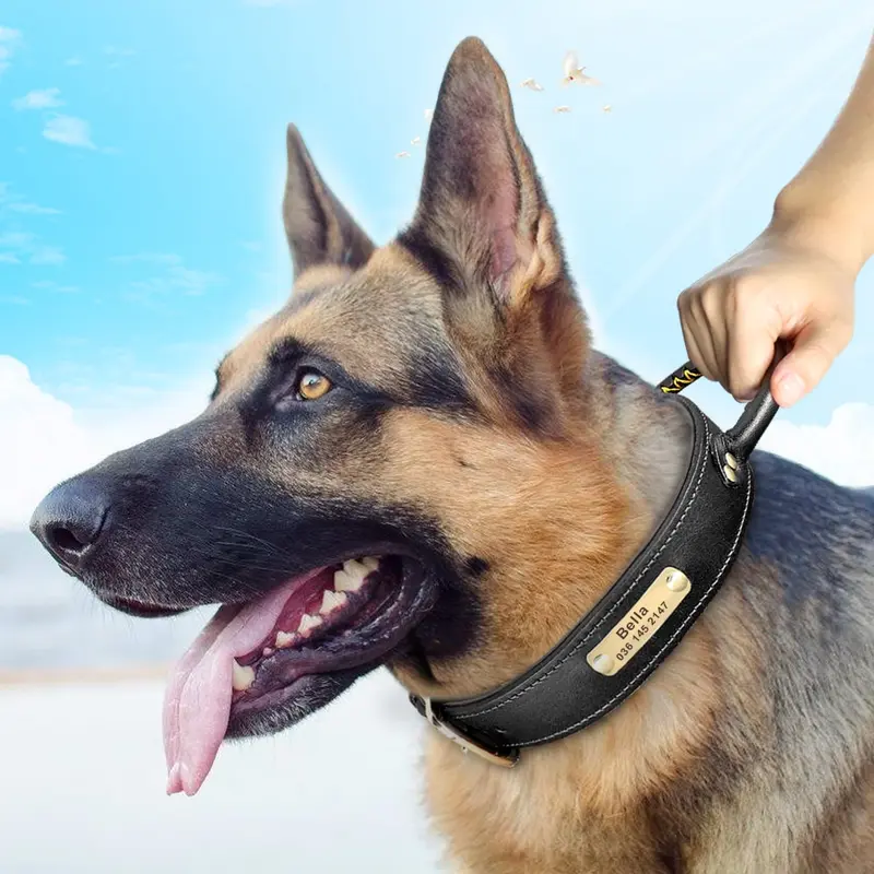 Collar de Cuero Personalizado