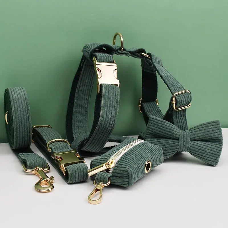 Collar y correa de pana verde oscuro para perro