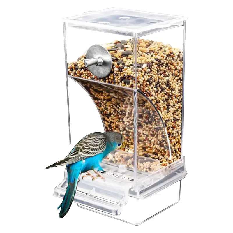 Comederos automáticos para pájaros, accesorios para periquitos.