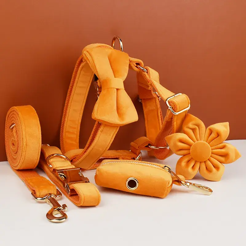 Conjunto de Collar y Correa de Terciopelo Naranja para Perros