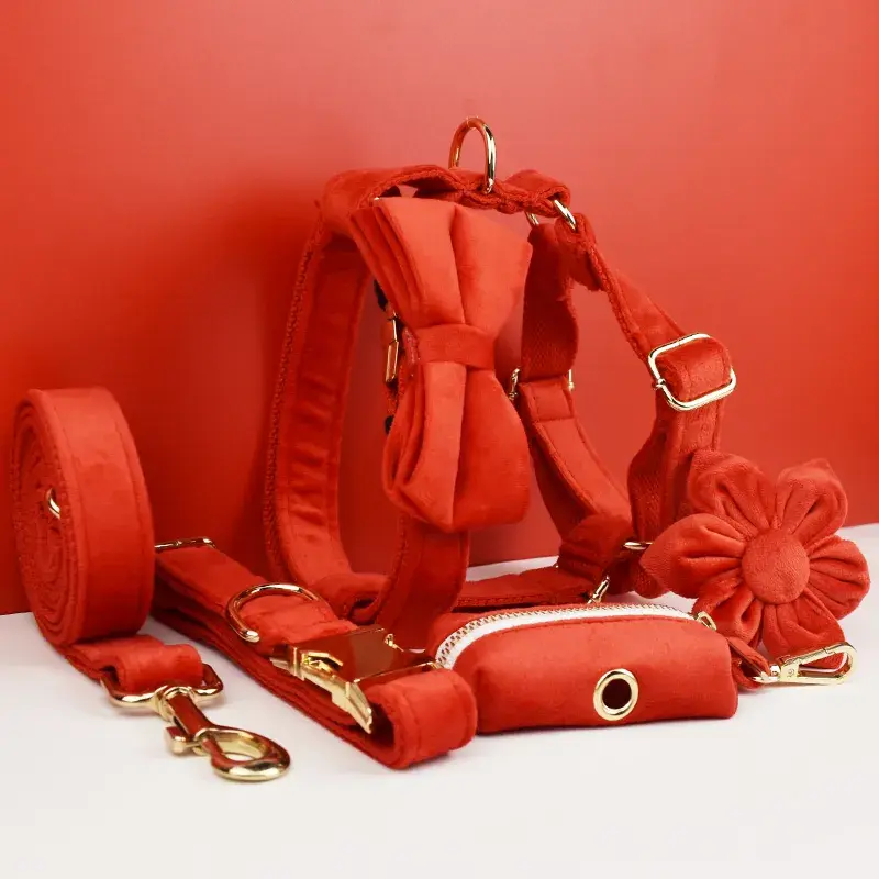Conjunto de Elegancia Canina