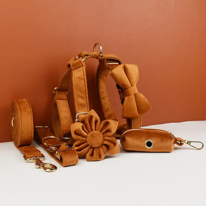 Conjunto Exclusivo