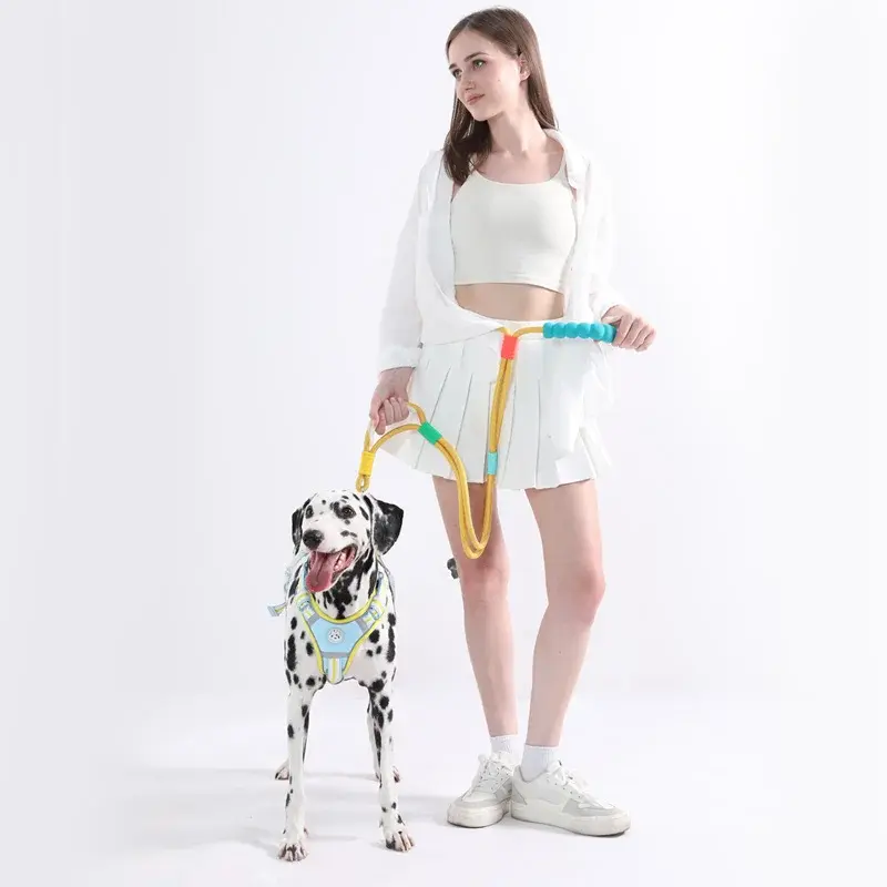 Correa de Nailon con Mango Acolchado para Perros | Mascotalux
