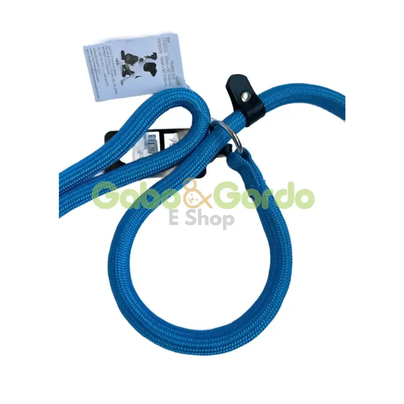 🐾 Correa Gloria con Collar de Adiestramiento para Perros | Azul o Verde