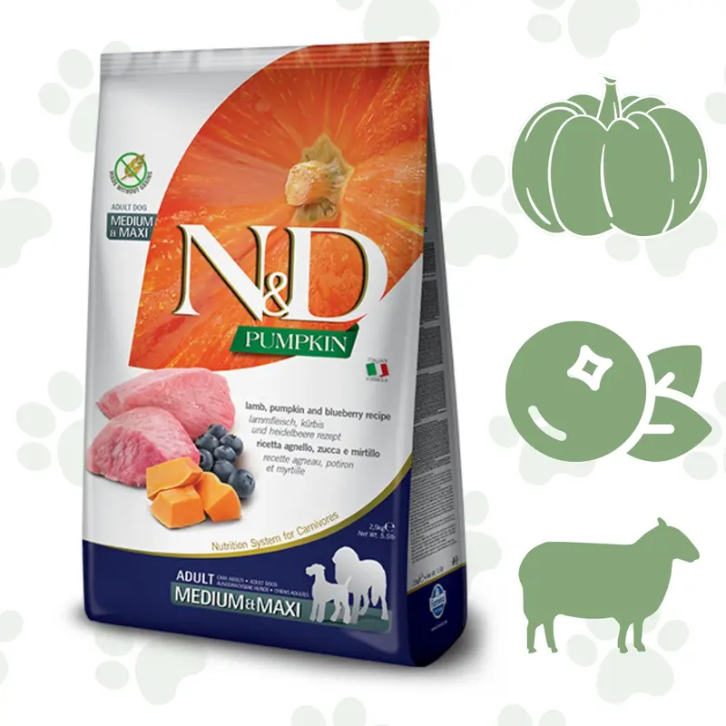 Crocchette alla Zucca Cani Taglia Media 12kg - Farmina agnello zucca e mirtillo