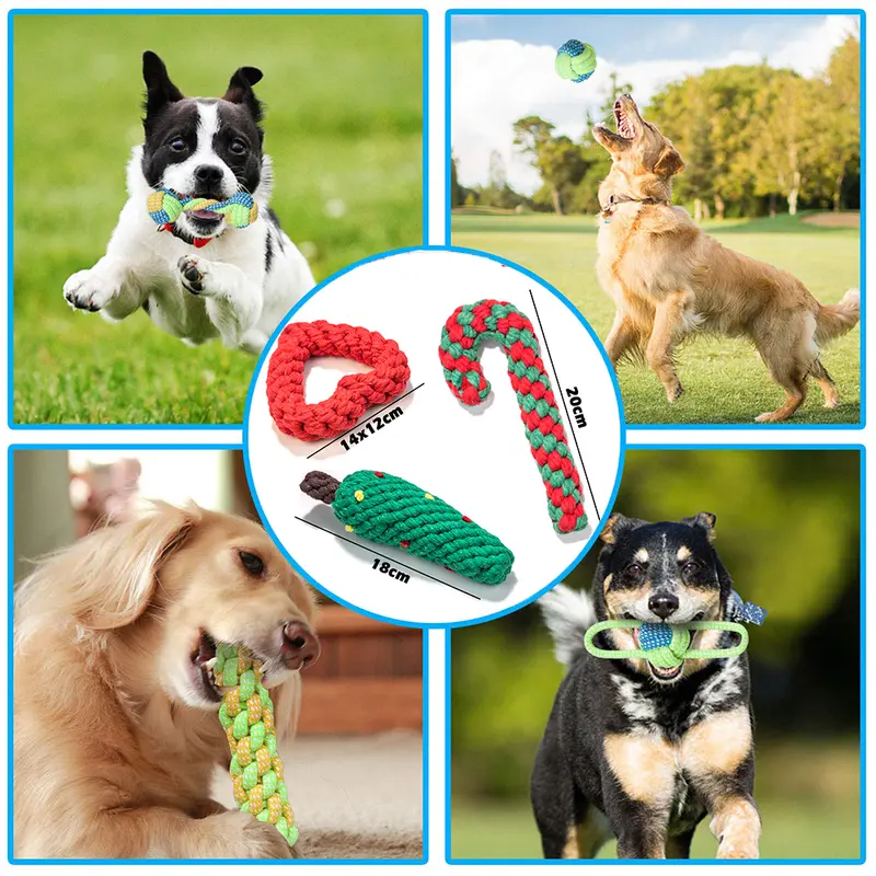 🐶 ¡Dale a tu perro la diversión que se merece con nuestros juguetes interactivos de algodón!