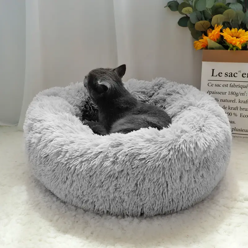 Descubre la Cama Perfecta para Tu Mascota