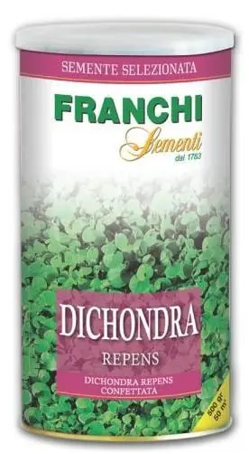 DICHONDRA REPENS PRATO SENZA MANUTENZIONE 500GR