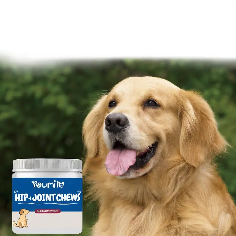 Dog Glucosamine Chondroitin Hip Joint Supplement