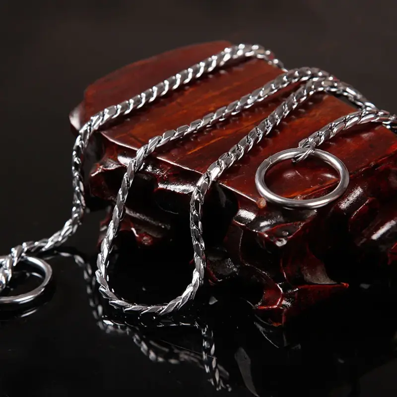 🐾 El Collar de Serpiente que Transformará el Paseo de tu Perro