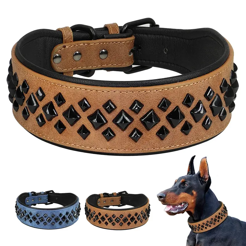 ¡El Collar Perfecto para tu Compañero Fiel
