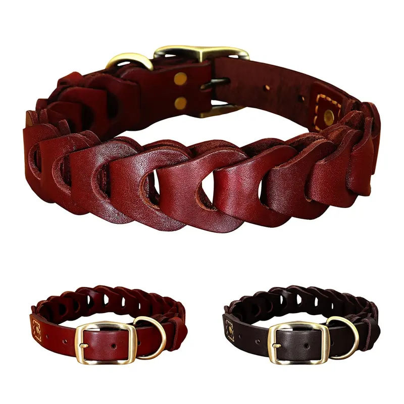 Elegancia y resistencia para tu mejor amigo