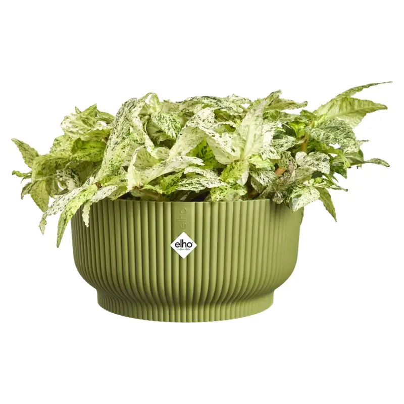 Elho - Vibes Fold Bowl ciotola in plastica riciclata