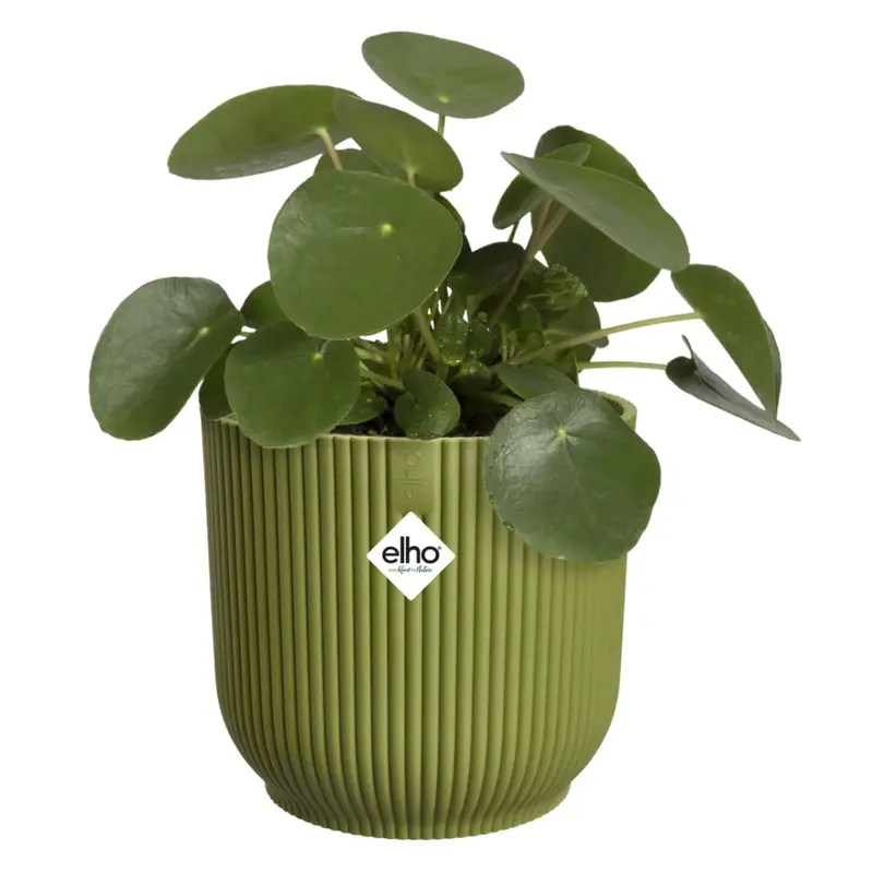 Elho - Vibes Fold Round coprivaso in plastica riciclata