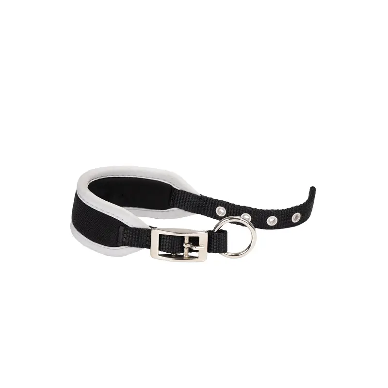 ERGOCOMFORT CW