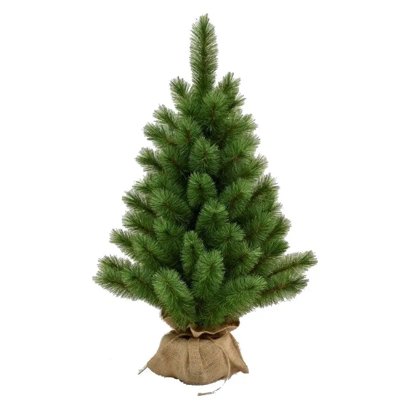 Evergreen Mini - Piccolo abete in vaso