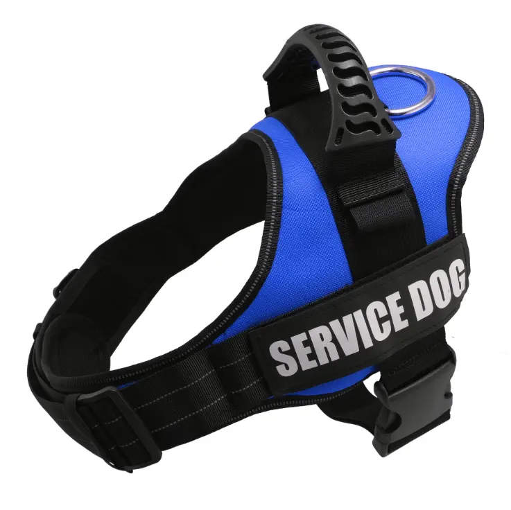 Explosafe Pet Leash
