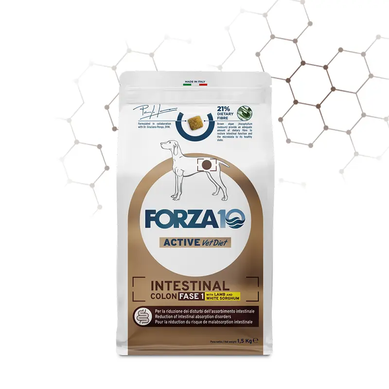 FORZA10 VetDiet INTESTINAL COLON Fase 1 All Breed šunims su ėriena ir sorgais