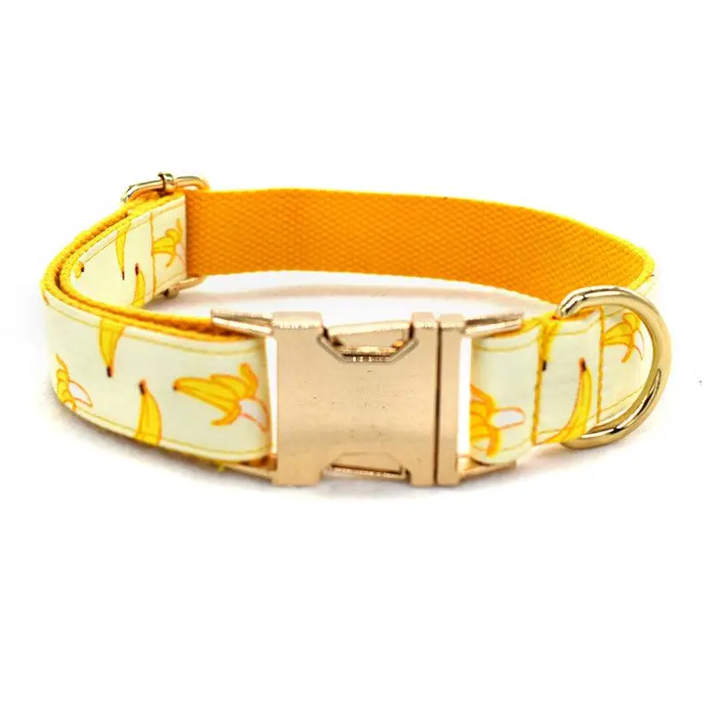 Fruitful Adventures Dog Leash Pet Collar