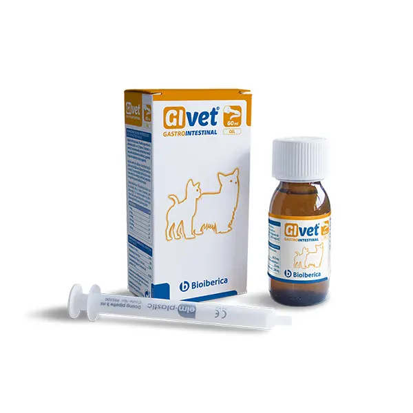 GIVET® 60 ml – Protector Gástrico para Perros y Gatos | Bioiberica