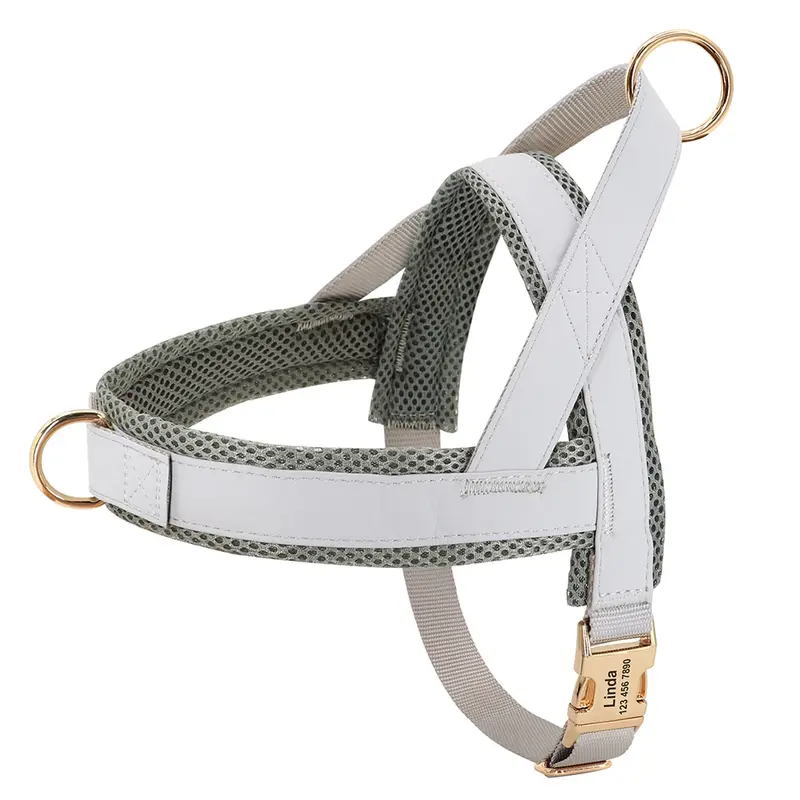 Harnais en cuir pour chien personnalisé