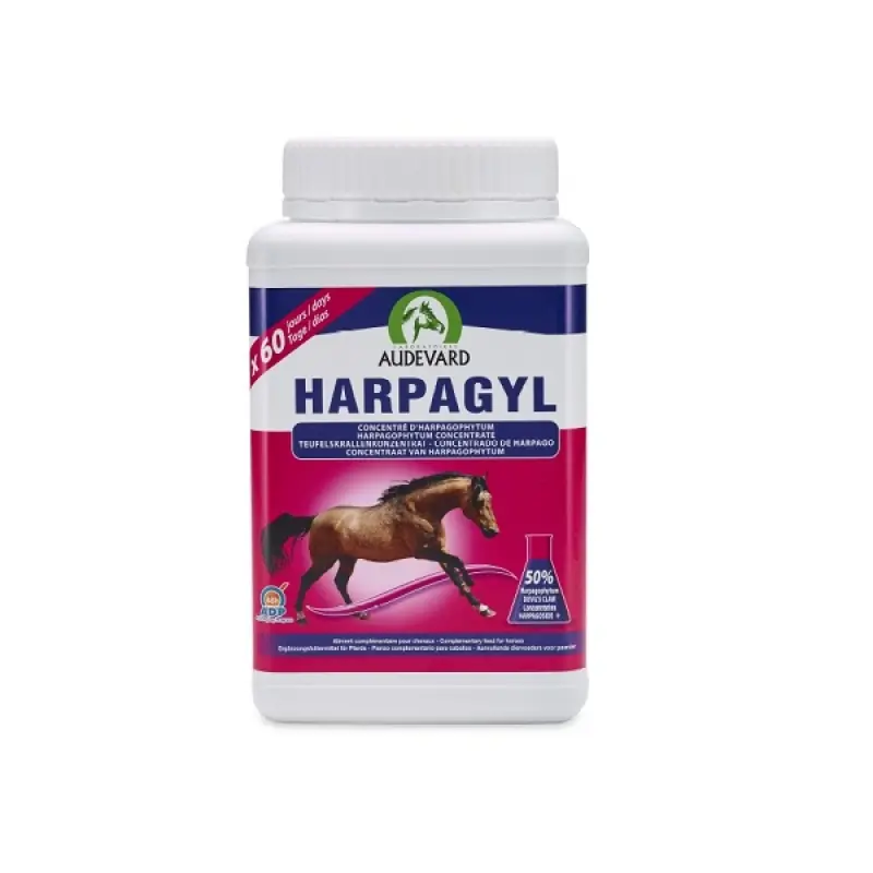 Harpagyl – Apoyo Músculo-Esquelético para Caballos Activos y Senior