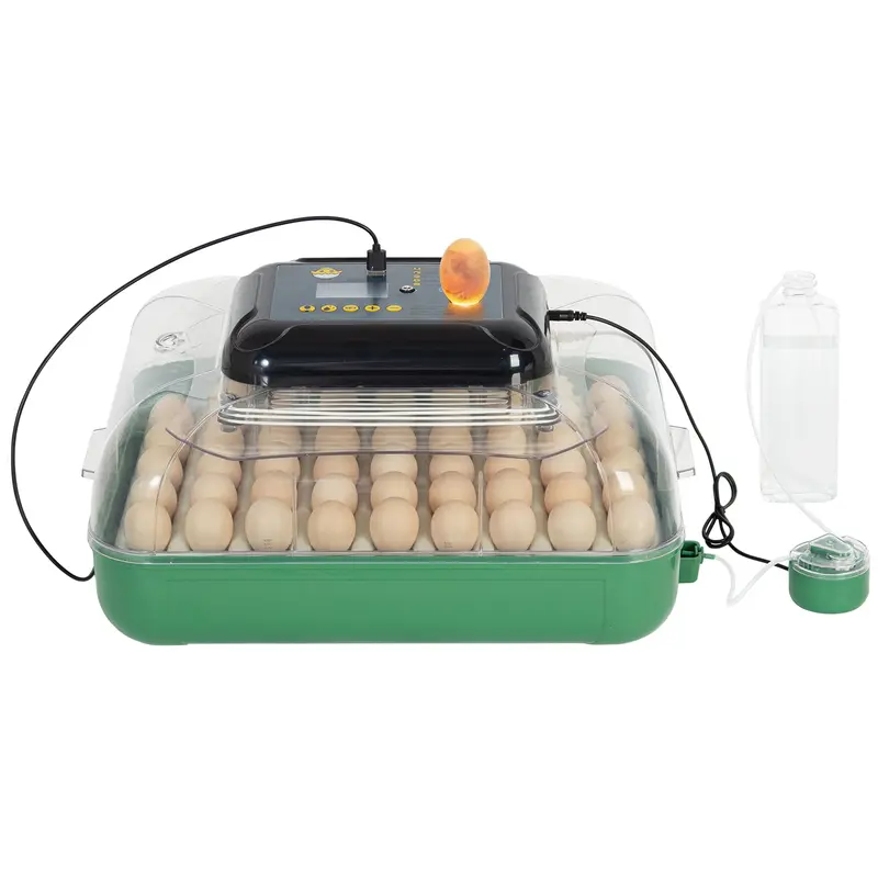 Incubateur Automatique (53 œufs, 2026)