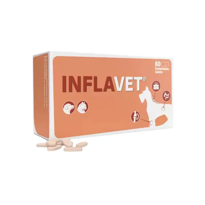 🐾 Inflavet para Perros y Gatos | Apoyo natural frente a procesos inflamatorios crónicos