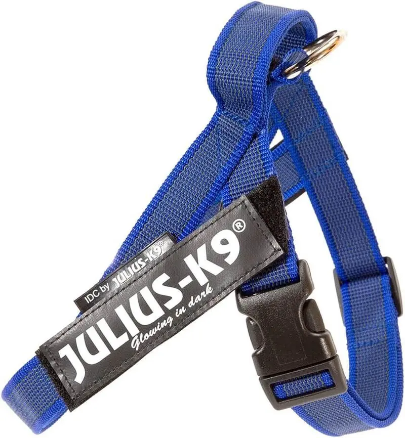 JULIUS K9 IDC Arnés Cinta Grey y Azul para perros
