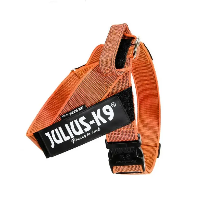 JULIUS K9 IDC Arnés Cinta Grey y Naranja para perros