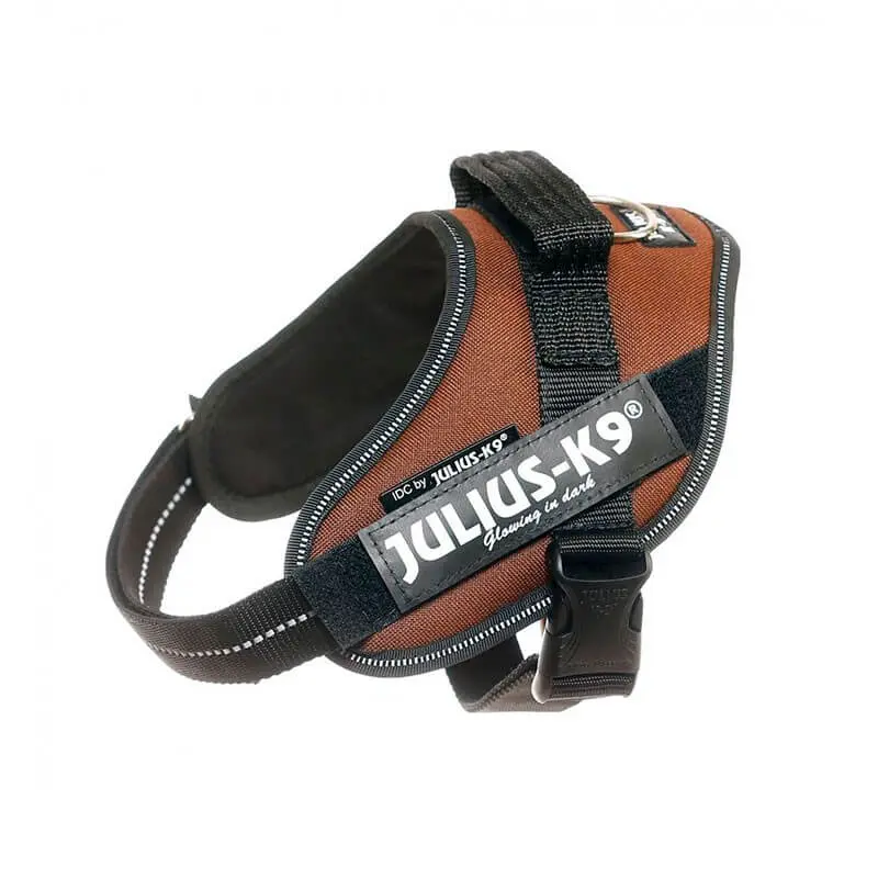 JULIUS K9 IDC Powerharness Arnés Chocolate para perros