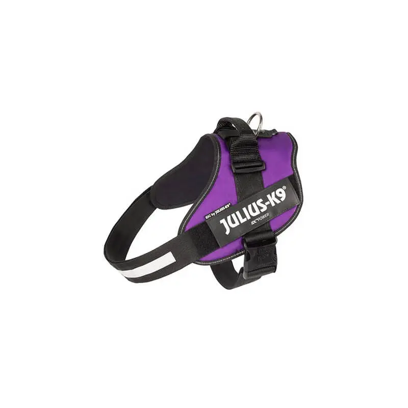 JULIUS K9 IDC Powerharness arnés Púrpura Oscuro para perro