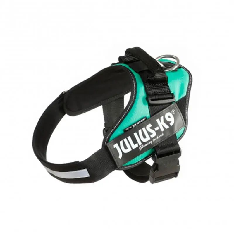 JULIUS K9 IDC Powerharness arnés Verde Claro para perro