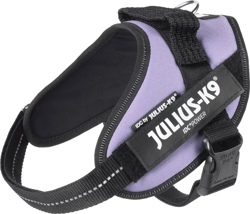 Julius k9 julius-k9 idc®powertuig, s - mini, paars