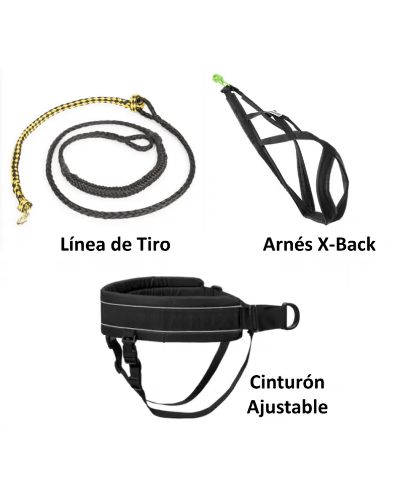🐕 Kit Canicross DOGGALLOP “Para correr con mi perro” | Equipamiento completo profesional