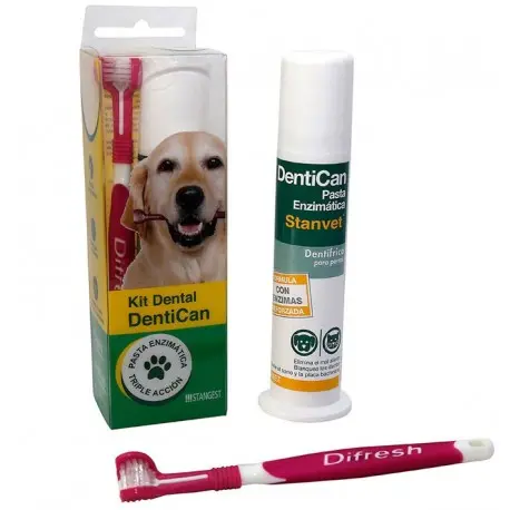 KIT DENTAL STANGEST