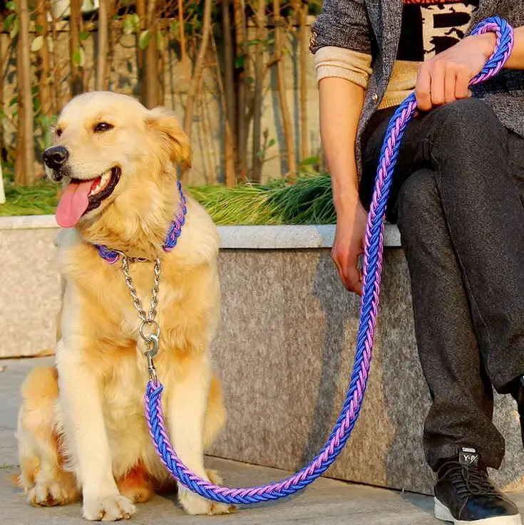 La Correa Perfecta para tu Perro