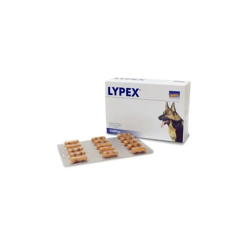 Lypex – Enzimas Pancreáticas para Perros y Gatos | VetPlus