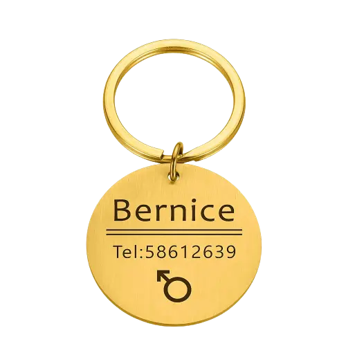 Médaille personnalisée pour chien et chat