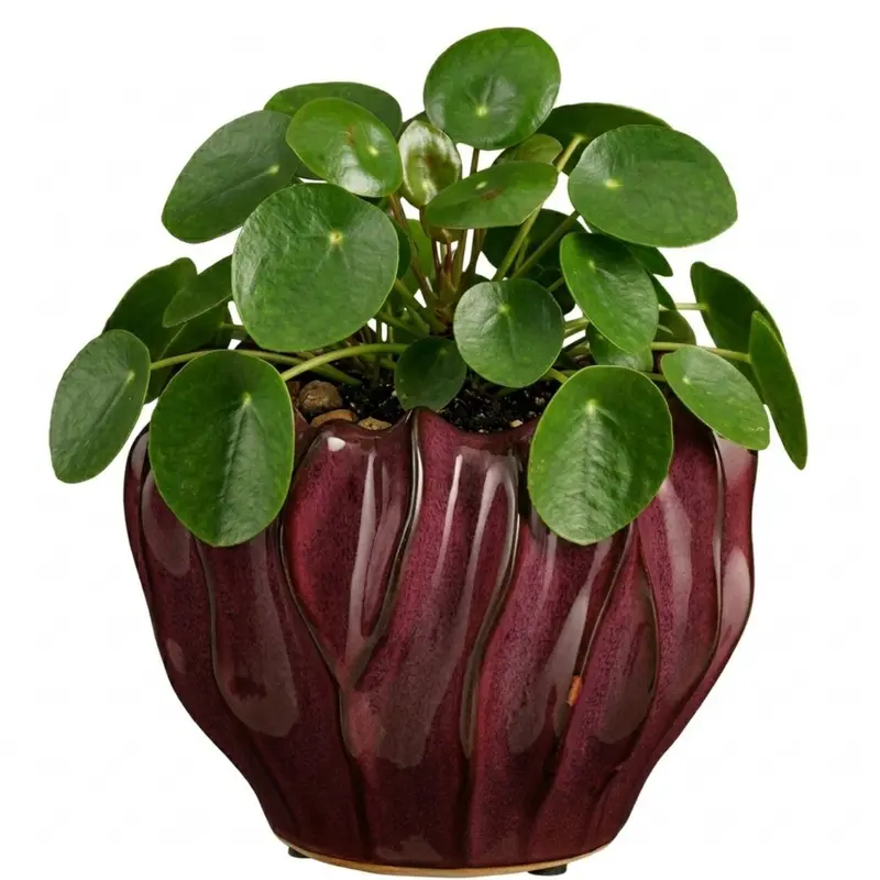 Mica decorations planten bloempot thom - bordeaux rood - keramiek - 17 x 22 cm
